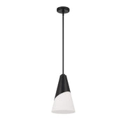 Tori 1 Light 9" Pendant in Matte Black