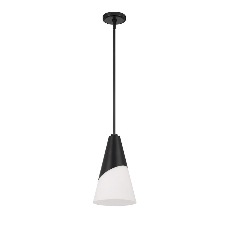 Tori 1 Light 9" Pendant in Matte Black