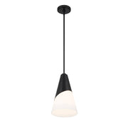 Tori 1 Light 9" Pendant in Matte Black