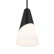 Tori 1 Light 9" Pendant in Matte Black