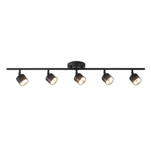 Denson 36" Track Light in Black