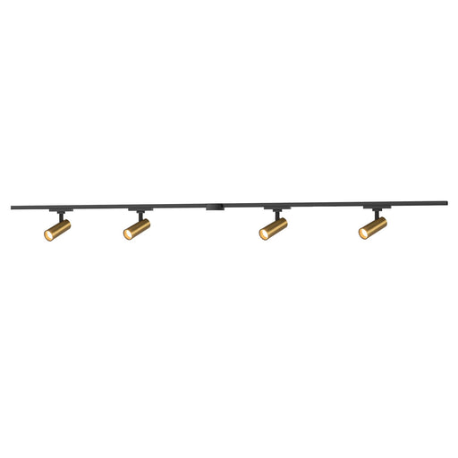 Paolo 81" 4-Head Trilo Track LED Ceiling Kit with 2" Heads in Brushed Gold - 3000K