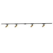 Paolo 81" 4-Head Trilo Track LED Ceiling Kit with 1" Heads in Brushed Gold - 4000K