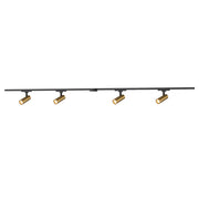 Paolo 81" 4-Head Trilo Track LED Ceiling Kit with 2" Heads in Black - 4000K