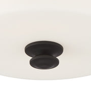 Travis 2 Light 12.5" Semi Flush Mount in Black Forged