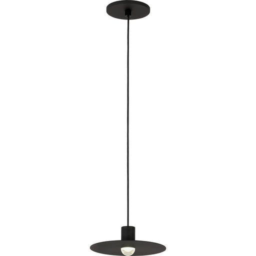 Eaves Pendant in Nightshade Black