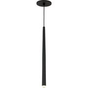 Pylon 1-Light Pendant in Nightshade Black