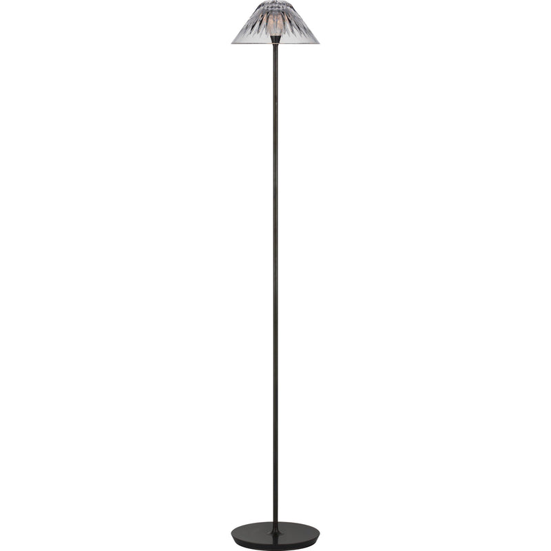 Blaze 55" Floor Lamp in Bronze