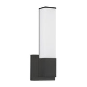 Vivi 14" Bath Sconce in Black