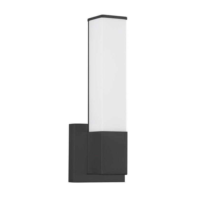 Vivi 14" Bath Sconce in Black