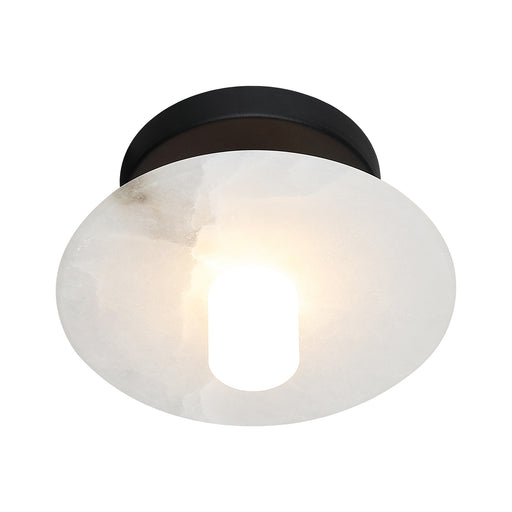 Monument Wall / Ceiling Light in Matte Black