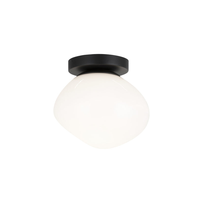 Melotte 7.5" Wall / Ceiling Light in Black