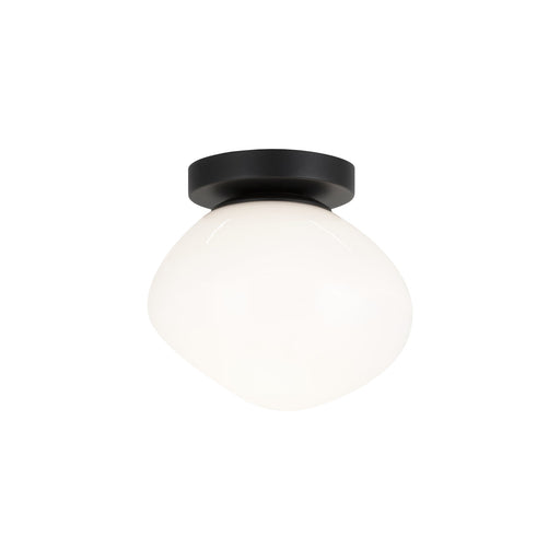 Melotte 7.5" Wall / Ceiling Light in Black