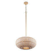 Zanzibar 4 Light 22" Pendant in Soft Gold