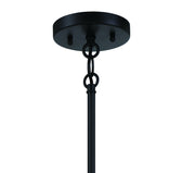 Shayna 5 Light 23" Chandelier in Flat Black