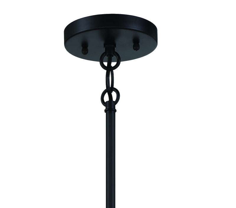 Shayna 5 Light 23" Chandelier in Flat Black