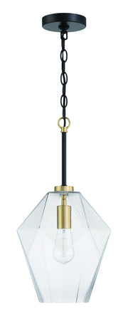 Avante Grand 1 Light 9" Pendant in Flat Black/Satin Brass