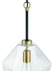 Avante Grand 1 Light 9" Pendant in Flat Black/Satin Brass