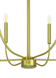 Traci 6 Light 26.38" Chandelier in Satin Brass