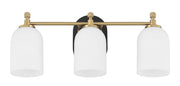 Council 3 Light 20.5" Vanity in Flat Black/Satin Brass