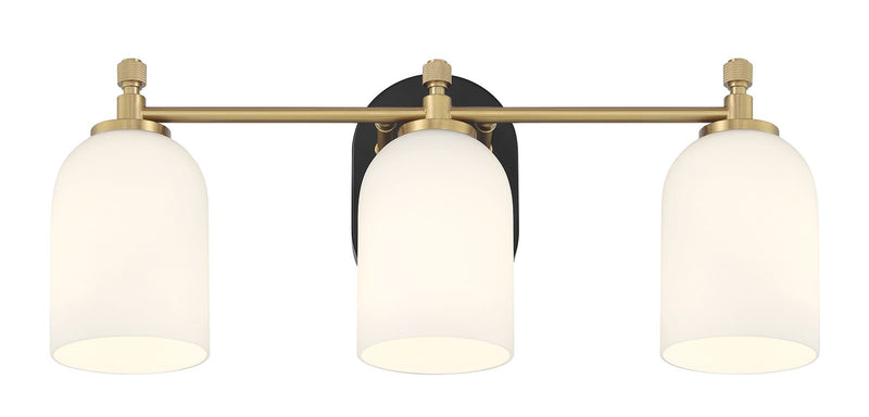 Council 3 Light 20.5" Vanity in Flat Black/Satin Brass