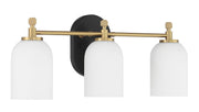 Council 3 Light 20.5" Vanity in Flat Black/Satin Brass