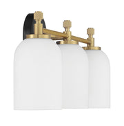 Council 3 Light 20.5" Vanity in Flat Black/Satin Brass