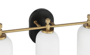 Council 3 Light 20.5" Vanity in Flat Black/Satin Brass