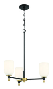 Council 3 Light 22" Chandelier in Flat Black/Satin Brass