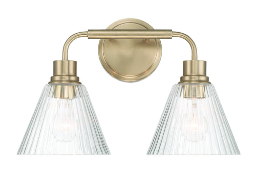 Pleated 2 Light 16.88" Vanity in Premium Bronze