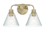 Pleated 2 Light 16.88" Vanity in Premium Bronze