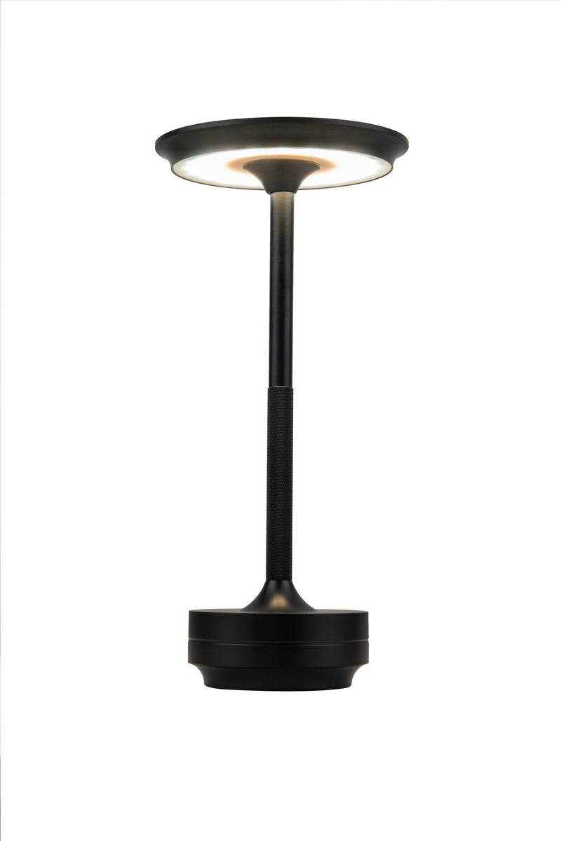 Rikki 1 Light 5.13" LED Rechargeable Lamp in Flat Black