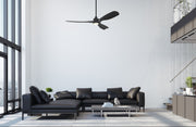 Amigo 52" 3-Blade Indoor/Outdoor Ceiling Fan in Flat Black