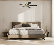 Eos 52" 5-Blade Clear 4 Light Ceiling Fan in Satin Brass