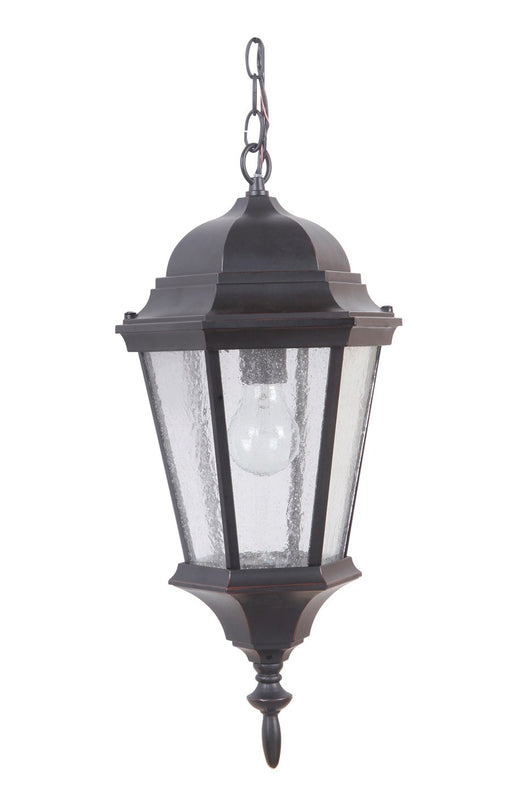 Chadwick 1 Light 9.38" Outdoor Pendant in Oiled Bronze Gilded