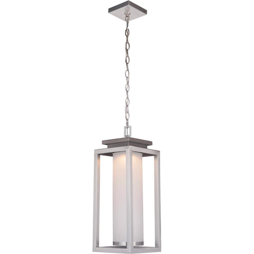 Vailridge 1 Light 9" Large LED Outdoor Pendant in Stainless Steel