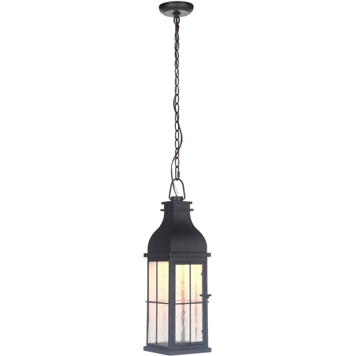 Vincent 1 Light 7" Medium LED Outdoor Pendant in Midnight