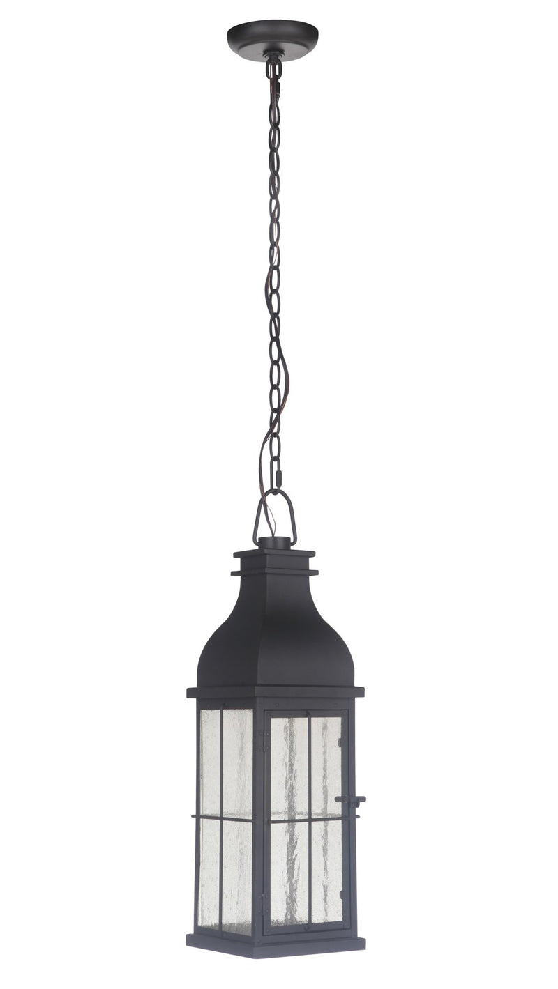 Vincent 1 Light 7" Medium LED Outdoor Pendant in Midnight