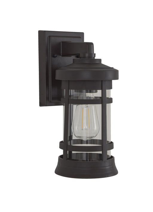 Resilience 1 Light 7" Small Outdoor Wall Lantern in Bronze