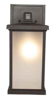Resilience 1 Light 8.5" Medium Outdoor Wall Lantern in Bronze