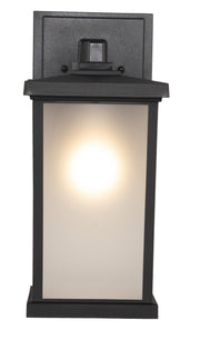 Resilience 1 Light 8.5" Medium Outdoor Wall Lantern in Textured Black