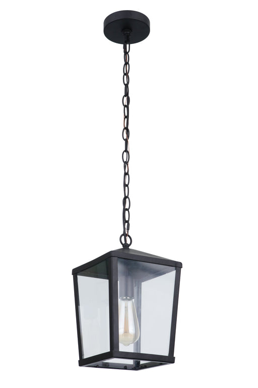 Olsen 1 Light 8" Medium Outdoor Pendant in Midnight