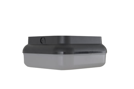 Resilience 2 Light 10" Outdoor Flushmount in Textured Black