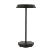 Tepa Accent Rechargeable Table Lamp in Bronze
