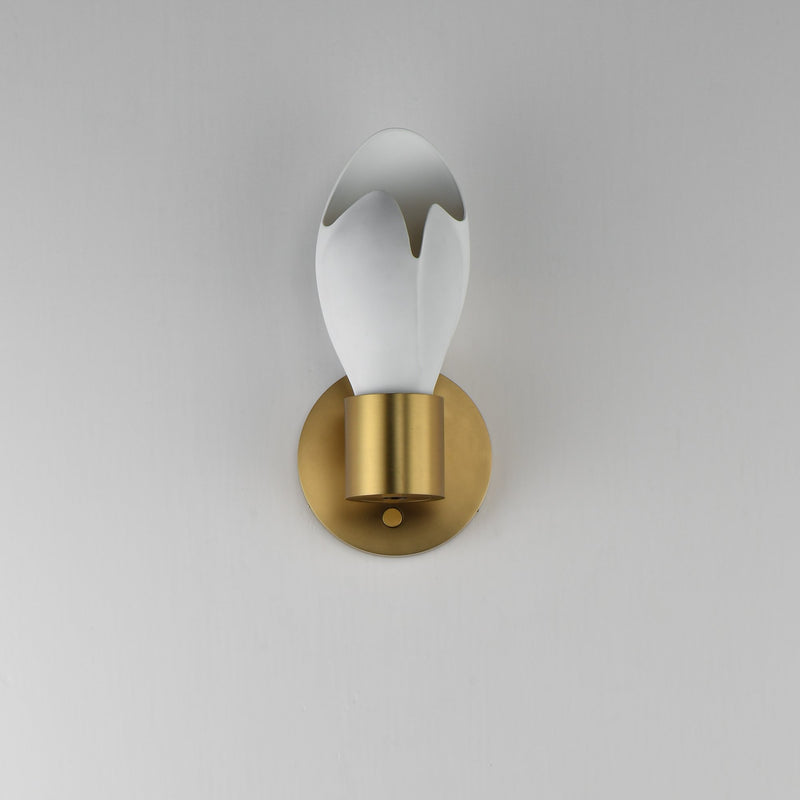 Burgeon LED Wall Sconce in Natural Aged Brass