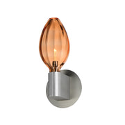 Ray Dance LED Wall Sconce - Olive in Brushed Aluminum