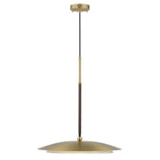 Prismatic 20" LED Pendant in Natural Aged Brass