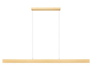 Hudson 1 Light 72" Linear Pendant in Gold