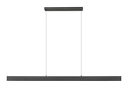 Hudson 1 Light 72" Linear Pendant in Matte Black