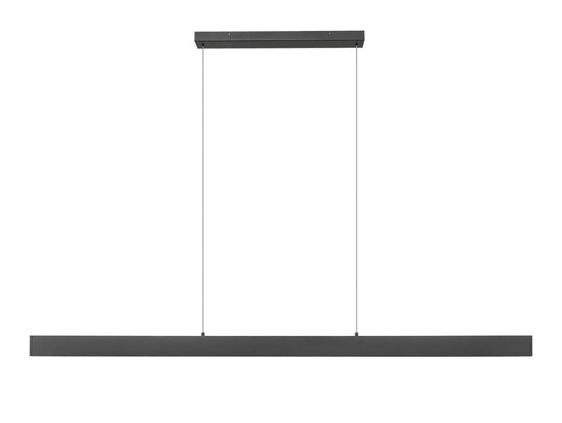 Hudson 1 Light 72" Linear Pendant in Matte Black